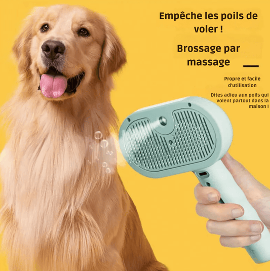 🧼 Brosse Vapeur 3-en-1 Chevaroo – Auto-nettoyante, poils silicone, tête 360°