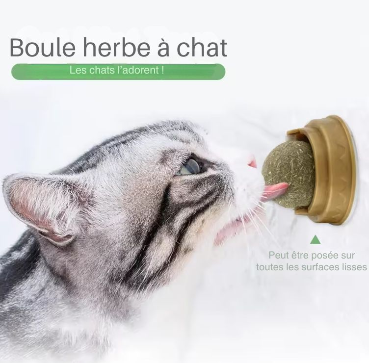 Balle d’Herbe à Chat Rotative – Le Jouet Naturel qui Rend les Chats Fous 😻