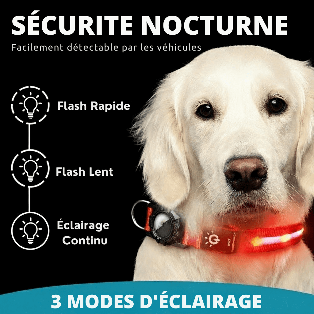 Collier LED intelligent avec support AirTag intégré