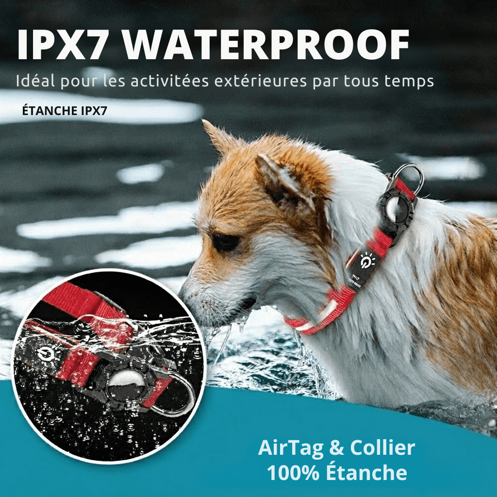 Collier LED intelligent avec support AirTag intégré