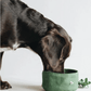 🐾 Bol Pliable en Toile – Hydratez Votre Chien Partout 🌍