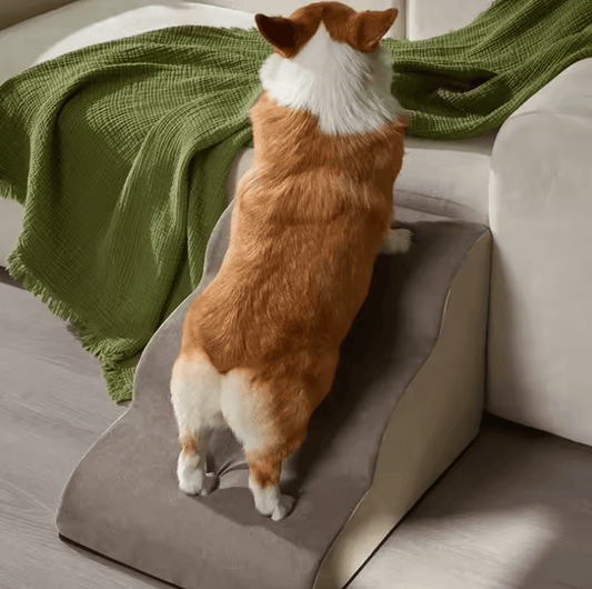 Escalier en Mousse Mémoire pour Chiens & Chats – Confort et Sécurité