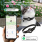 Collier pour chat avec TAG GPS