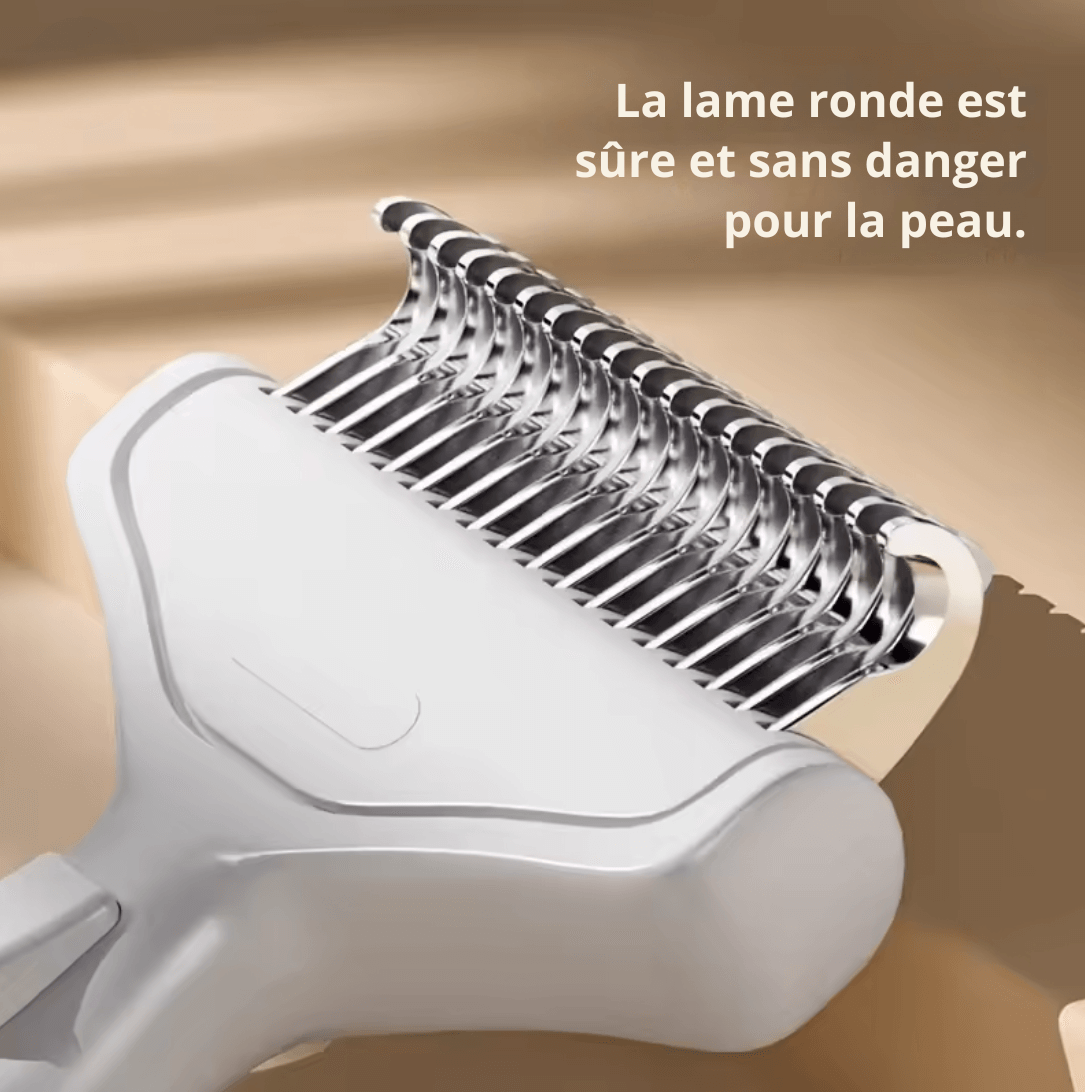 🐶 Brosse Magique Anti-Nœuds – Poils Longs & Épais | Acier Inoxydable & Poignée Ergonomique