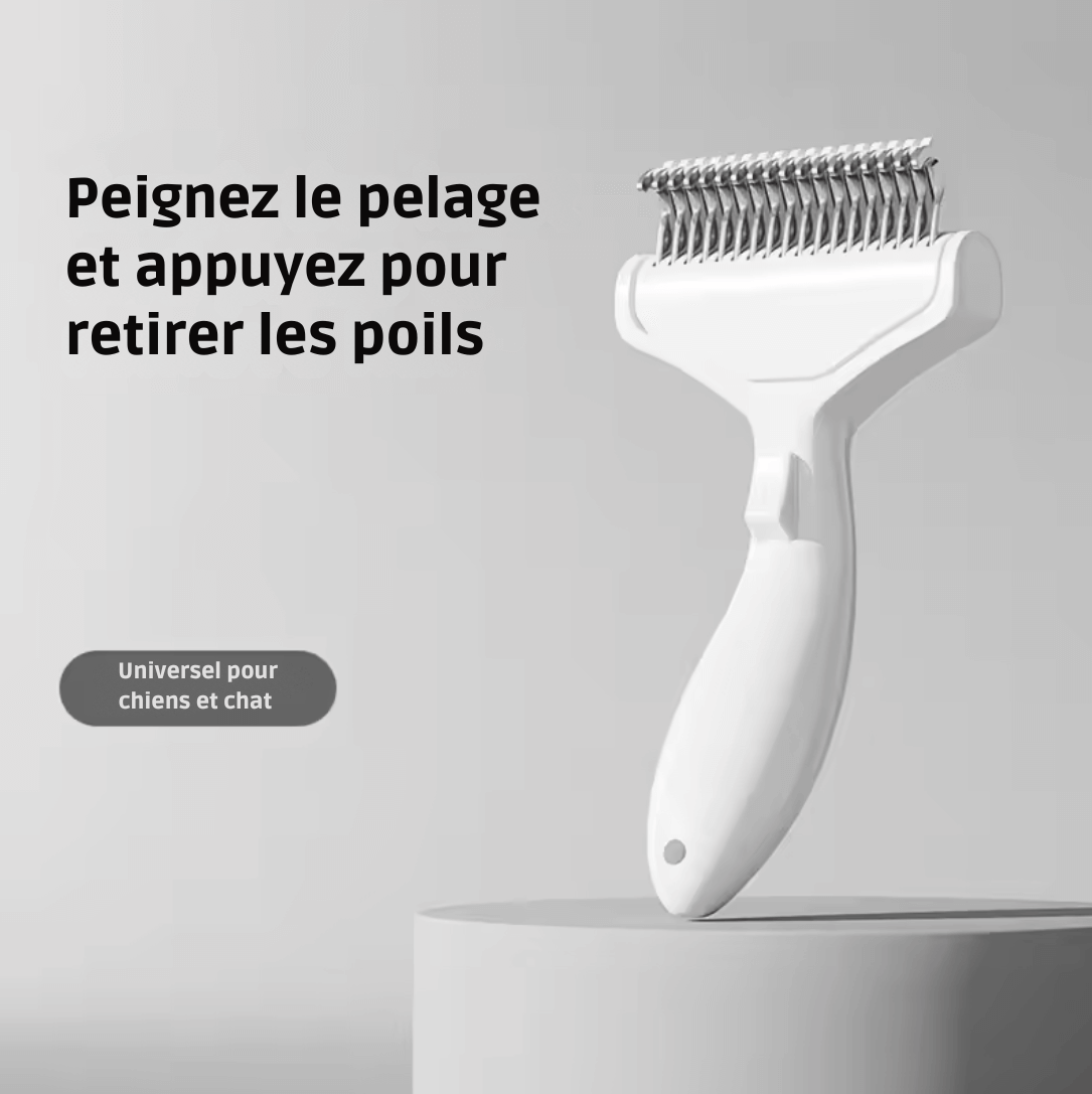🐶 Brosse Magique Anti-Nœuds – Poils Longs & Épais | Acier Inoxydable & Poignée Ergonomique
